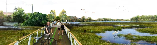 pro.16.2017_02_21_sp_montage_wetland_b.webp