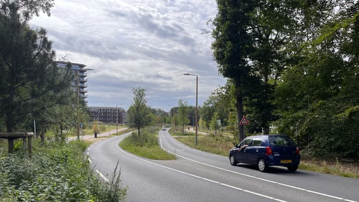 De gerealiseerde Parklaan