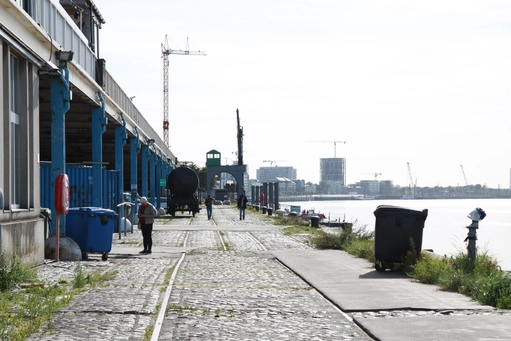 pro.9.414_blauwe_steen.webp